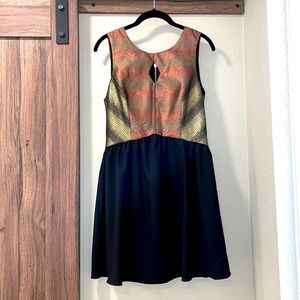 Ladakh Metallic Dress